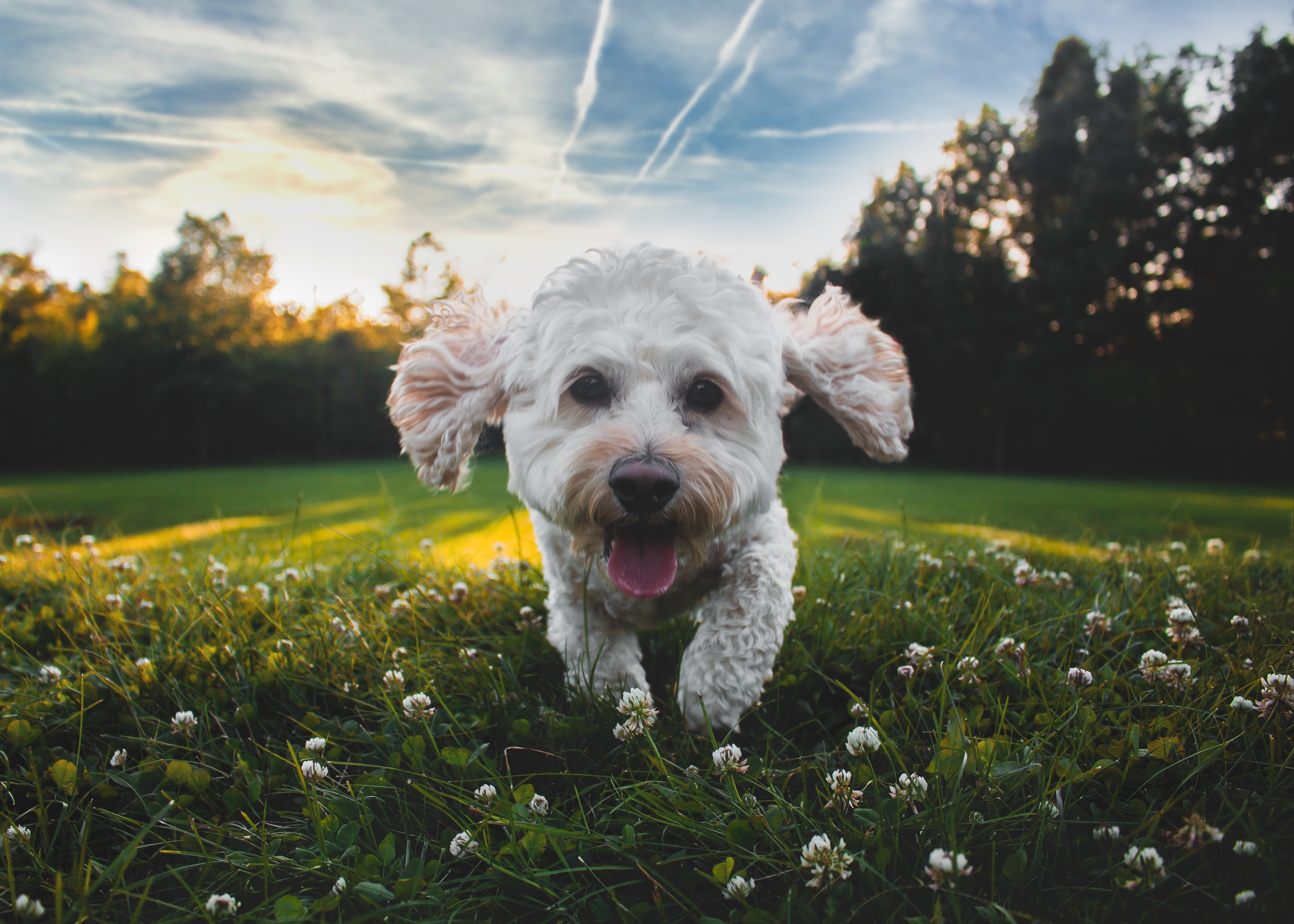 joe-caione-KVeogBZzl4M-unsplash
