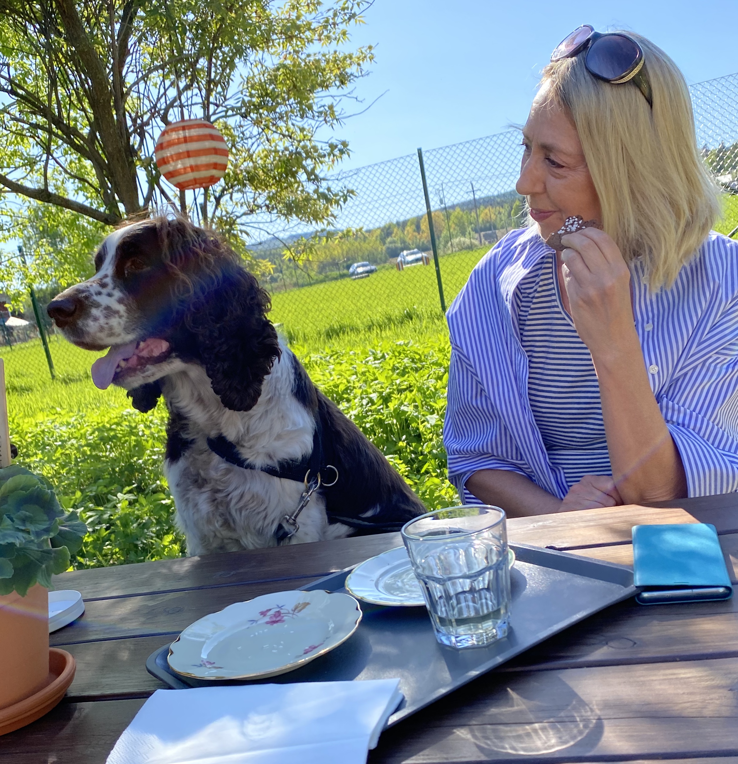 Helen och Pussel cafet